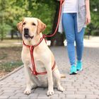 NO Stink Waterproof Dog Collars , Reflective Anti Pull Dog Harness Vest