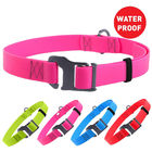 Colorful Water Resistant Dog Collars Stylish Skin Friendly Neck Girth 14" - 26"
